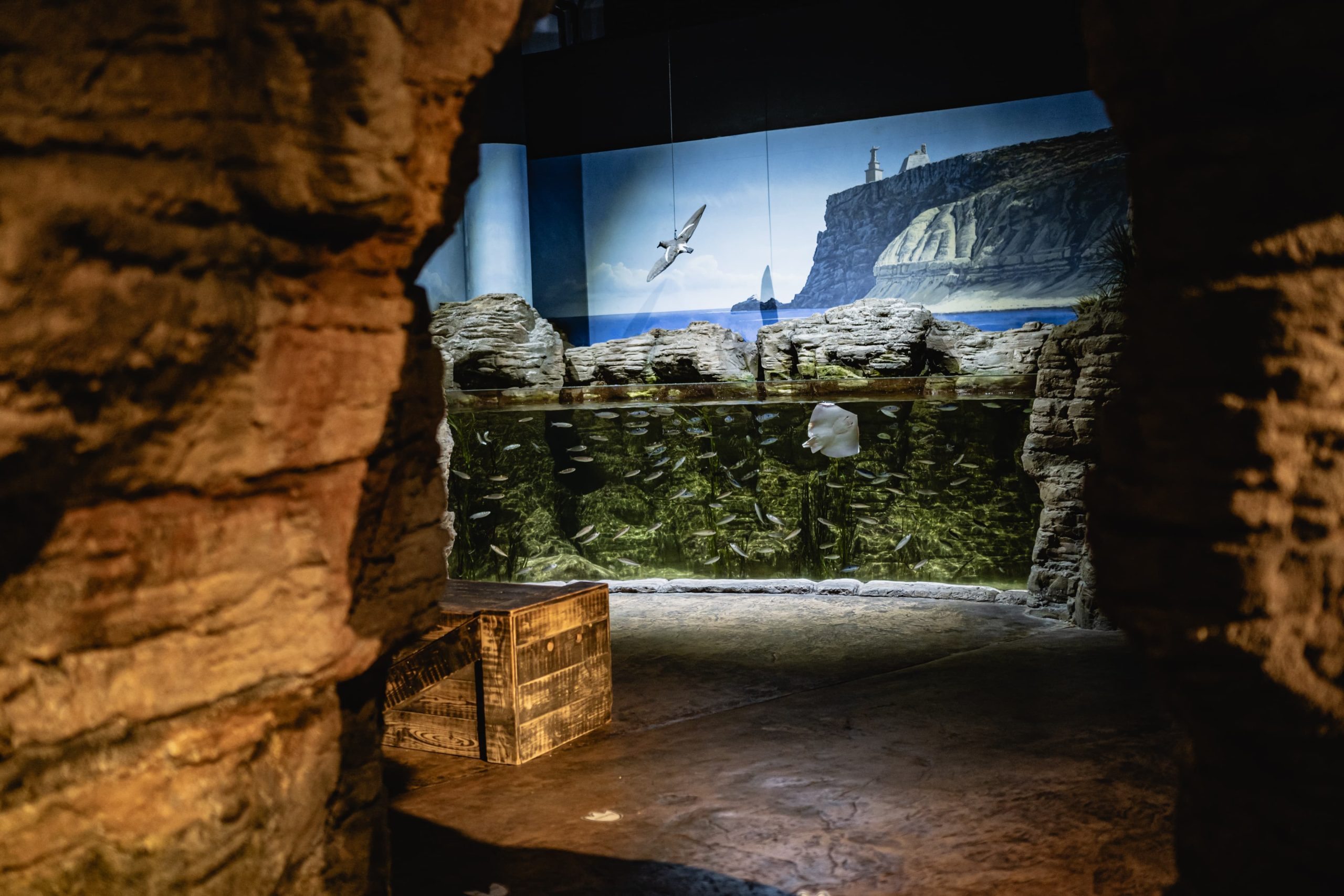Mediterranean Talk & Feeding: The Sea around Malta